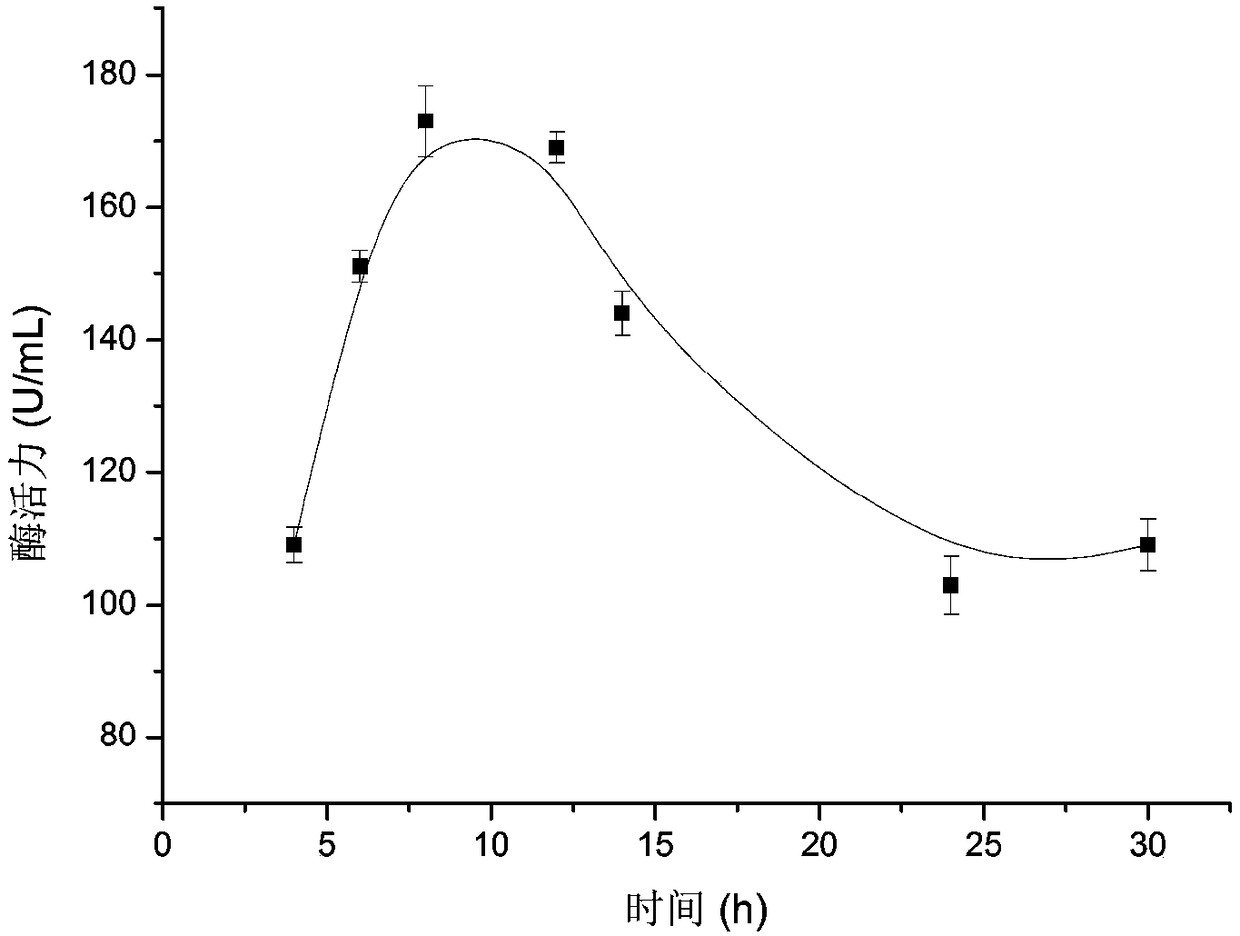 Chitin deacetylase high-yielding strain and application thereof