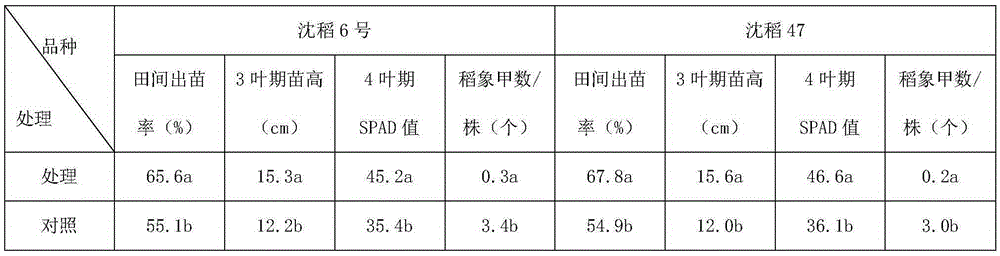 Rice seedling promoter for dry direct seeding and application method