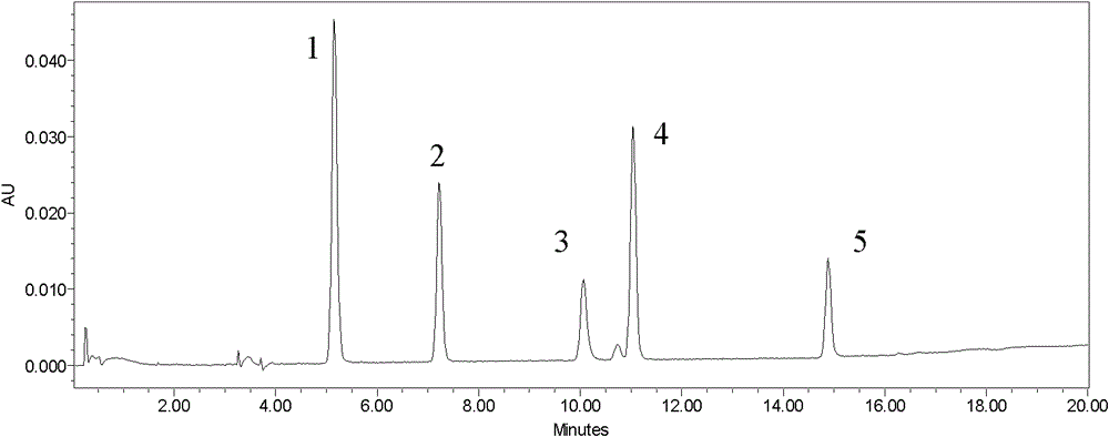 HPLC (high performance liquid chromatography) method for synchronously detecting five polyphenols in apples and distinguishing varieties