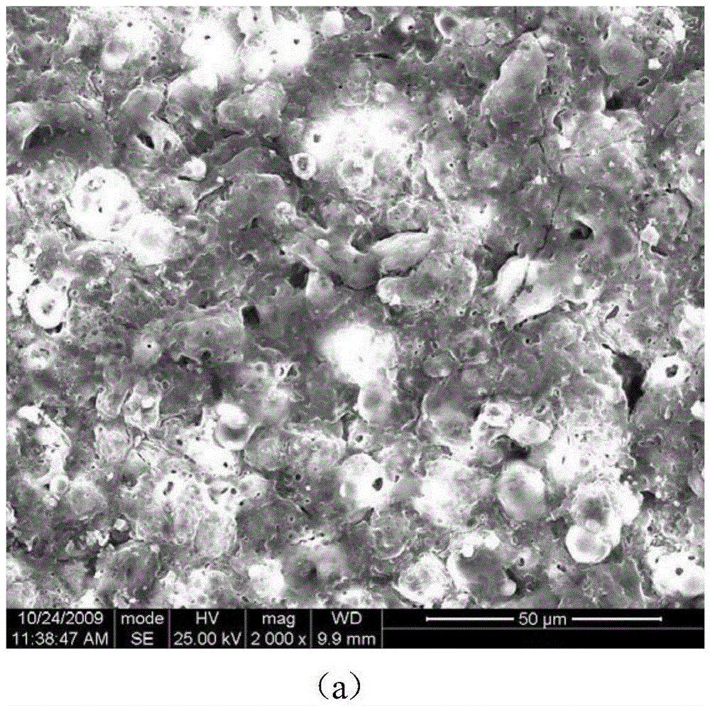 Carbon steel or stainless steel surface micro-arc oxidation ceramic coating based on aluminized coating, and preparation method thereof