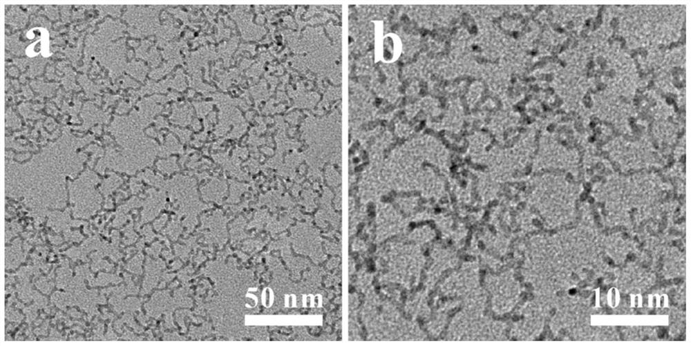 A kind of synthetic method of rhodium-platinum core-shell bimetallic nanowire