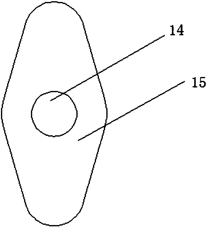 Cereal grain polishing and drying device