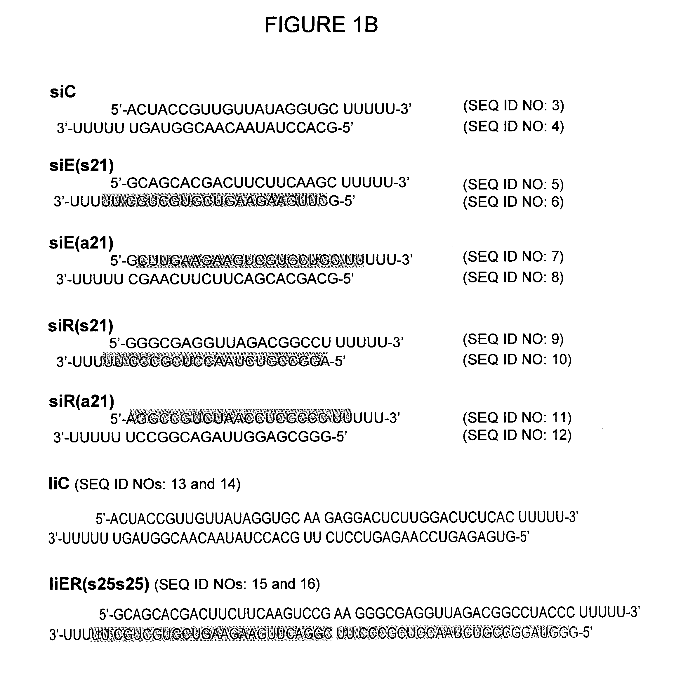 Linear double-stranded RNA molecule interfering with different target genes