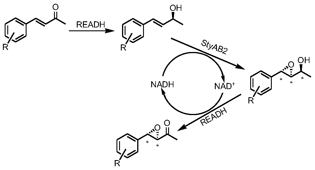 A tunable multienzyme cascade for the synthesis of optically pure allylic epoxy ketones or alcohols