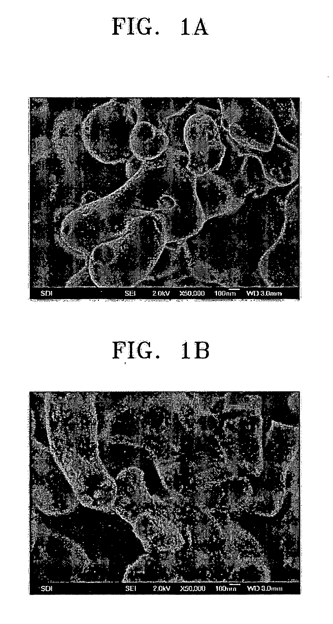 Phosphor paste composition and method of manufacturing flat display device using the same