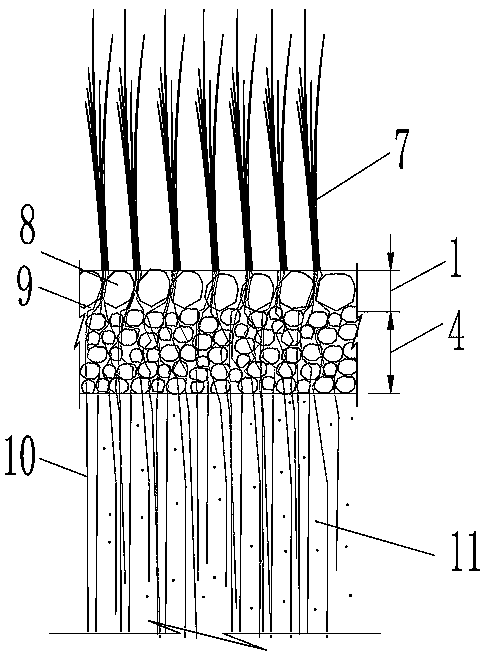 Grass planting concrete construction based on herbal root system architecture and fabrication method of grass planting concrete construction
