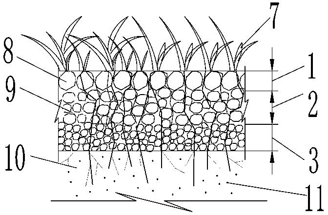 Grass planting concrete construction based on herbal root system architecture and fabrication method of grass planting concrete construction