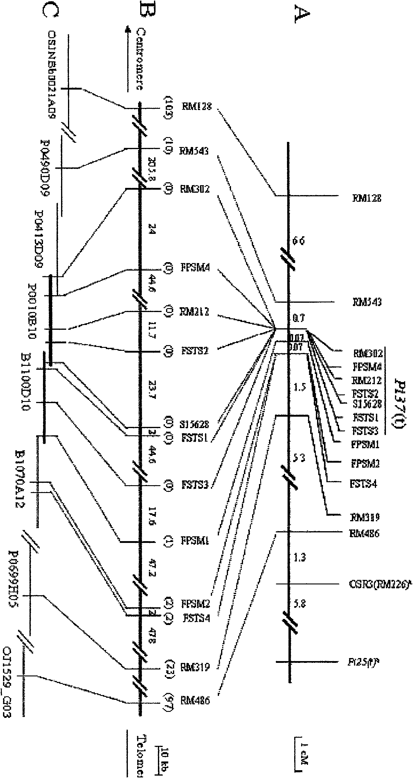 Resistance gene Pi37 against rice blast and application thereof