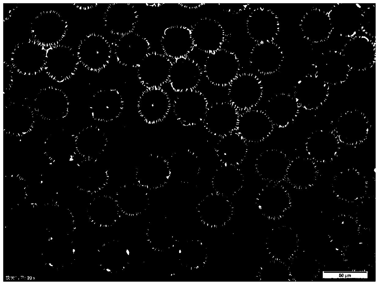 New magnetic pollen swimming micro-robot preparation method with pollen as template