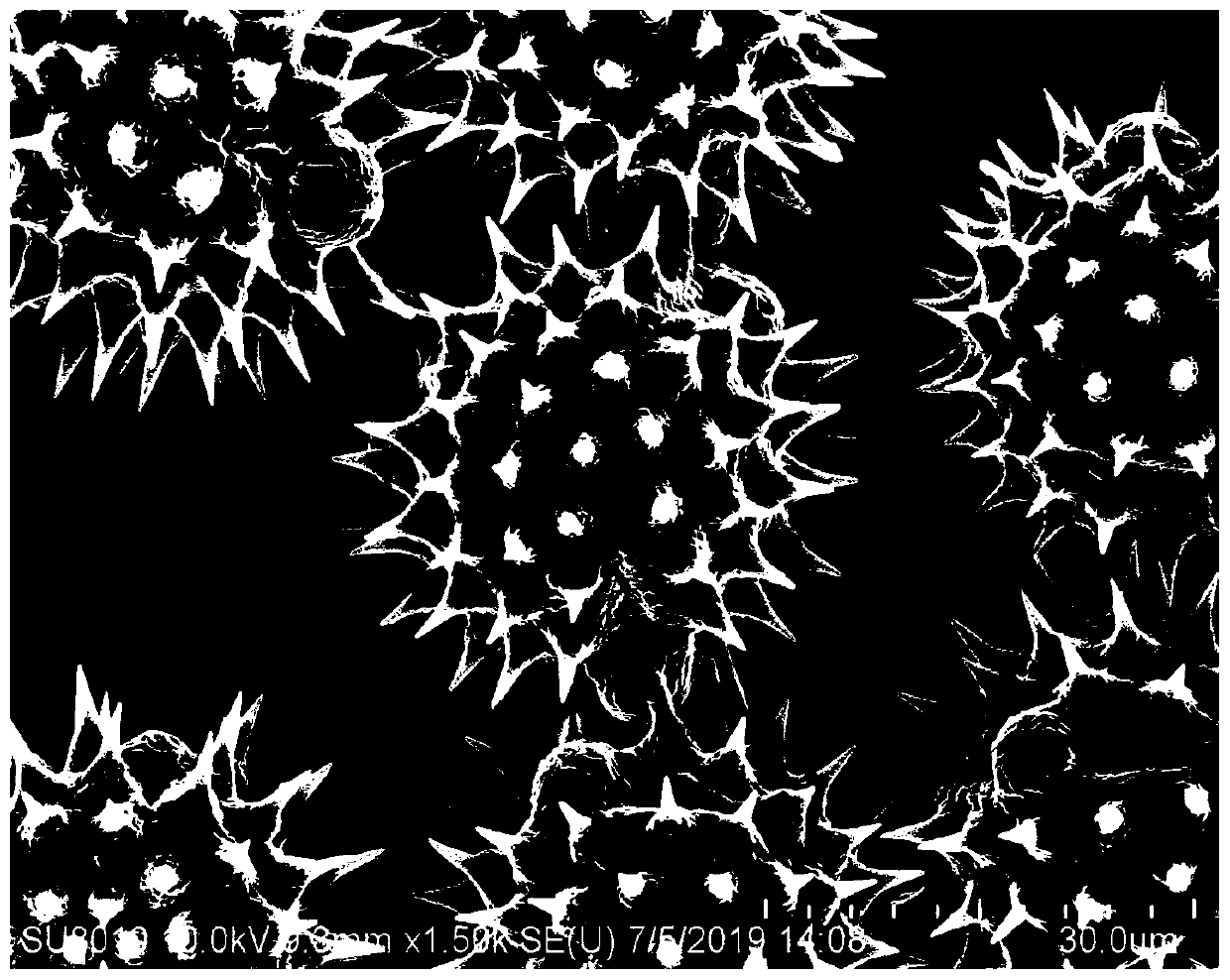 New magnetic pollen swimming micro-robot preparation method with pollen as template