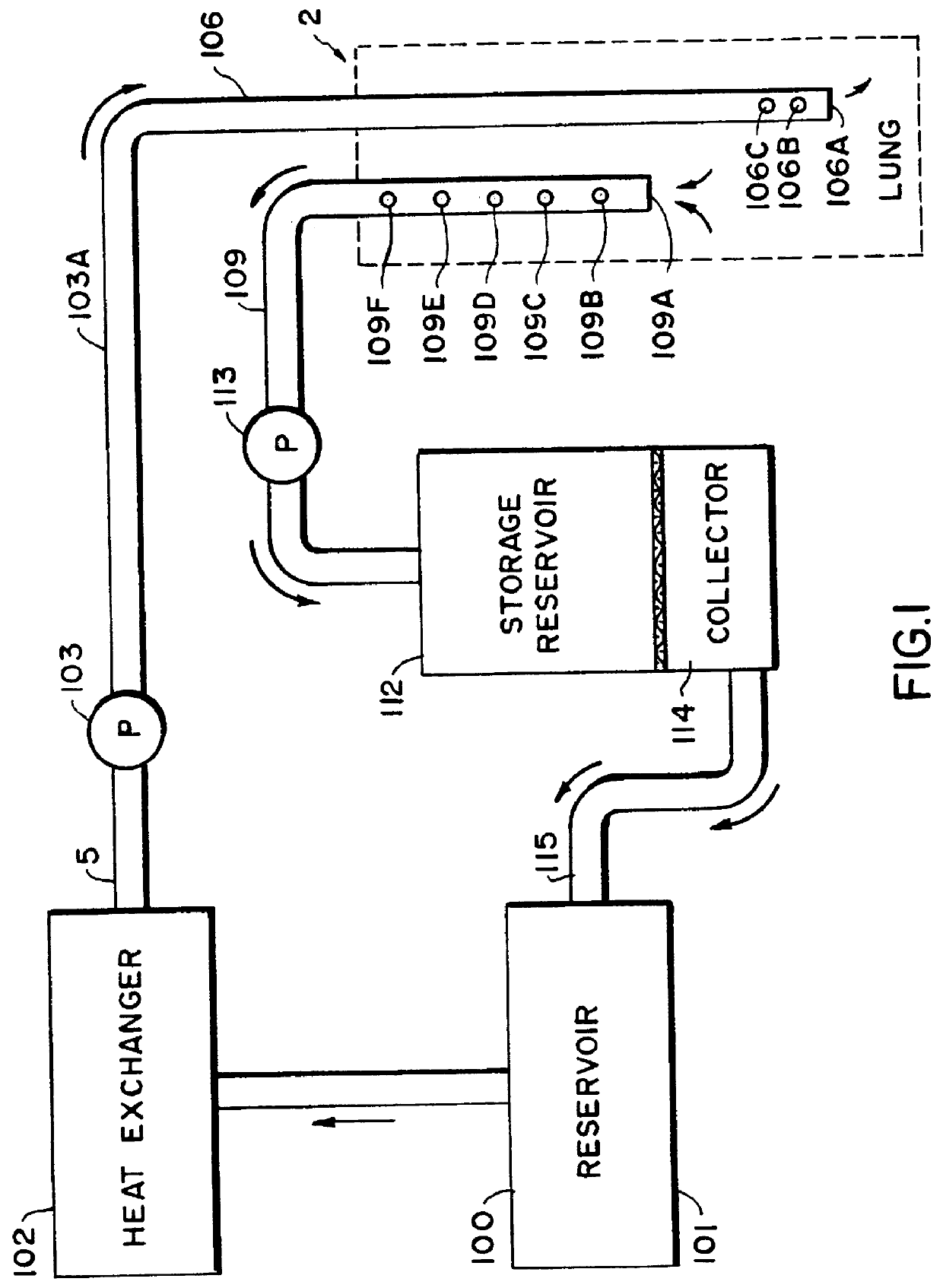 Apparatus and method for the rapid induction of hypothermic brain preservation