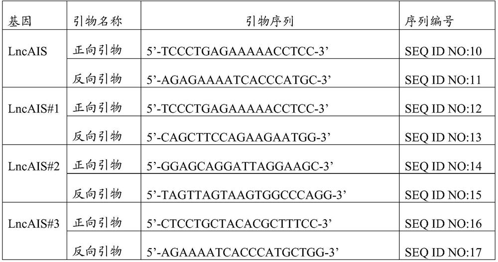 Application of nf90 in the preparation of biological agents regulating osteogenic differentiation of bone marrow mesenchymal stem cells