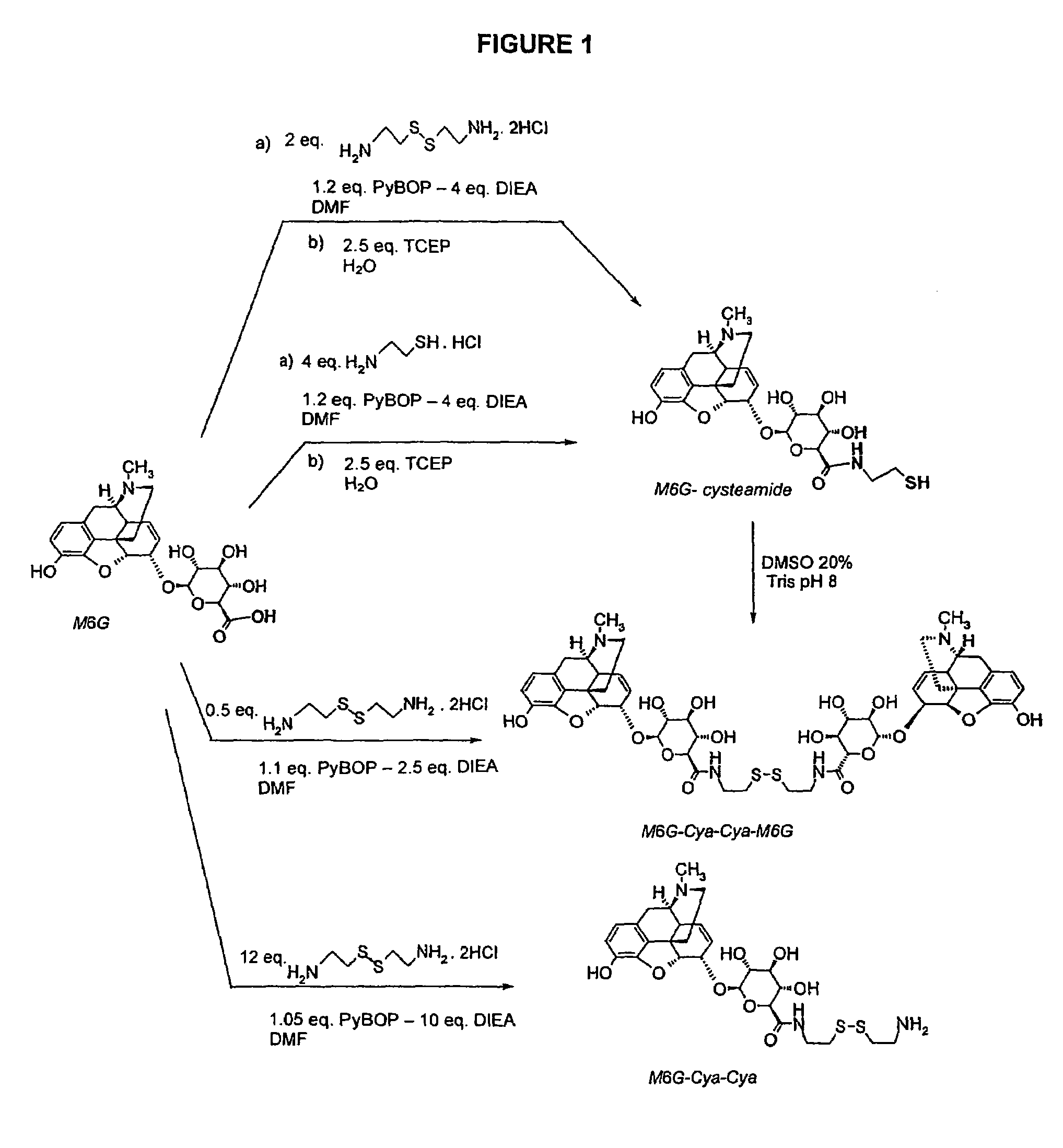 Derivatives of morphine-6-glucuronide, pharmaceutical compositions containing them, their preparation method and their uses