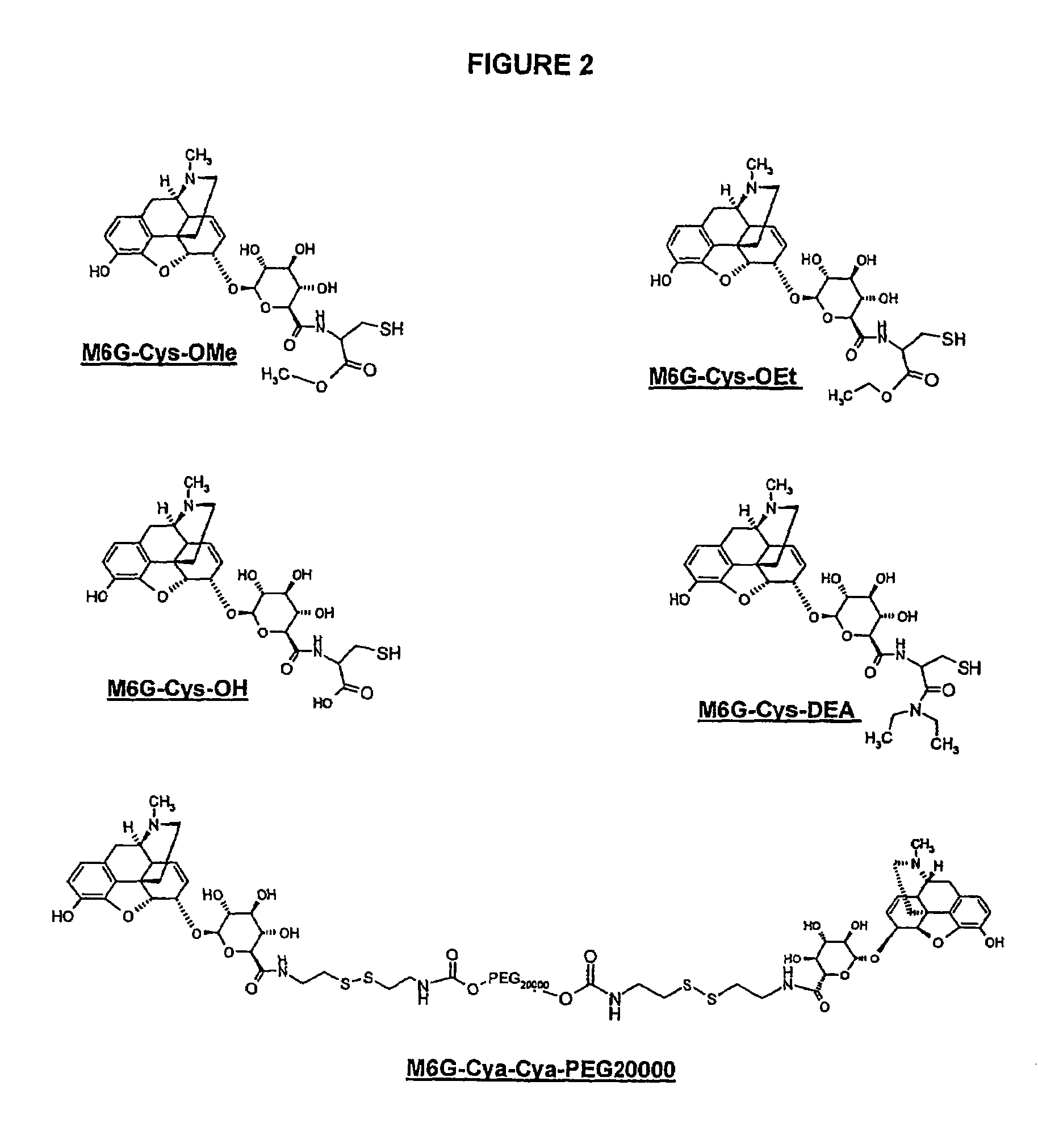 Derivatives of morphine-6-glucuronide, pharmaceutical compositions containing them, their preparation method and their uses