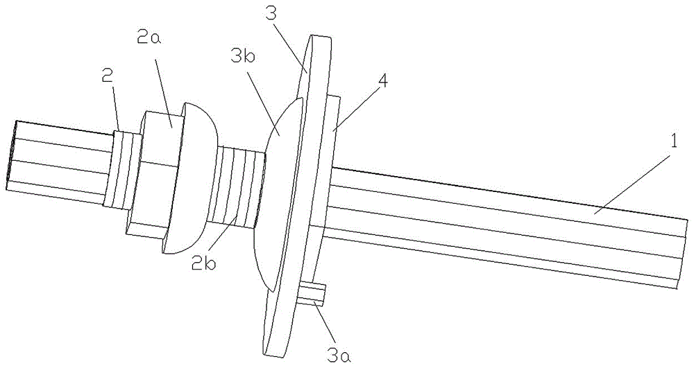 Flexible anchor rod