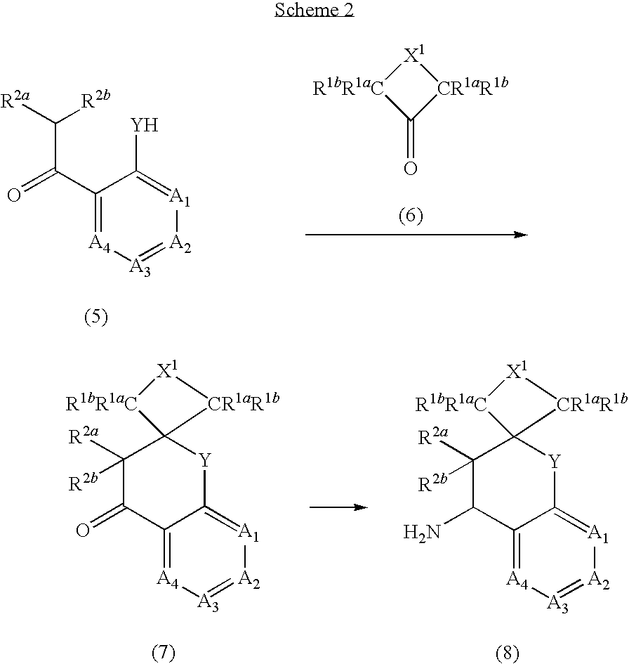 Antagonists of the vanilloid receptor subtype 1 (VR1) and uses thereof