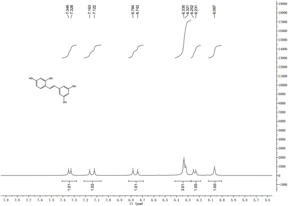 Synthesis method of natural product of E-2,3',4,5'-tetrahydroxy diphenyl ethylene