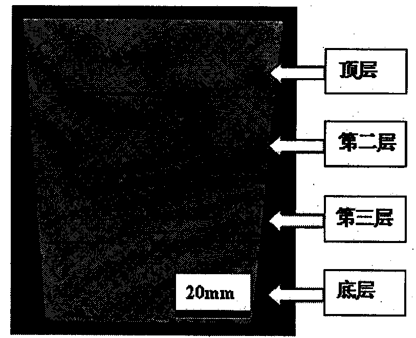 Method for purifying non-metal inclusion in magnesium alloy by ultrasonic agglomeration