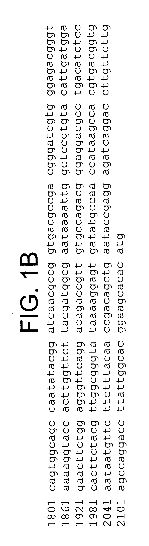 T. cruzi-derived neurotrophic agents and methods of use therefor