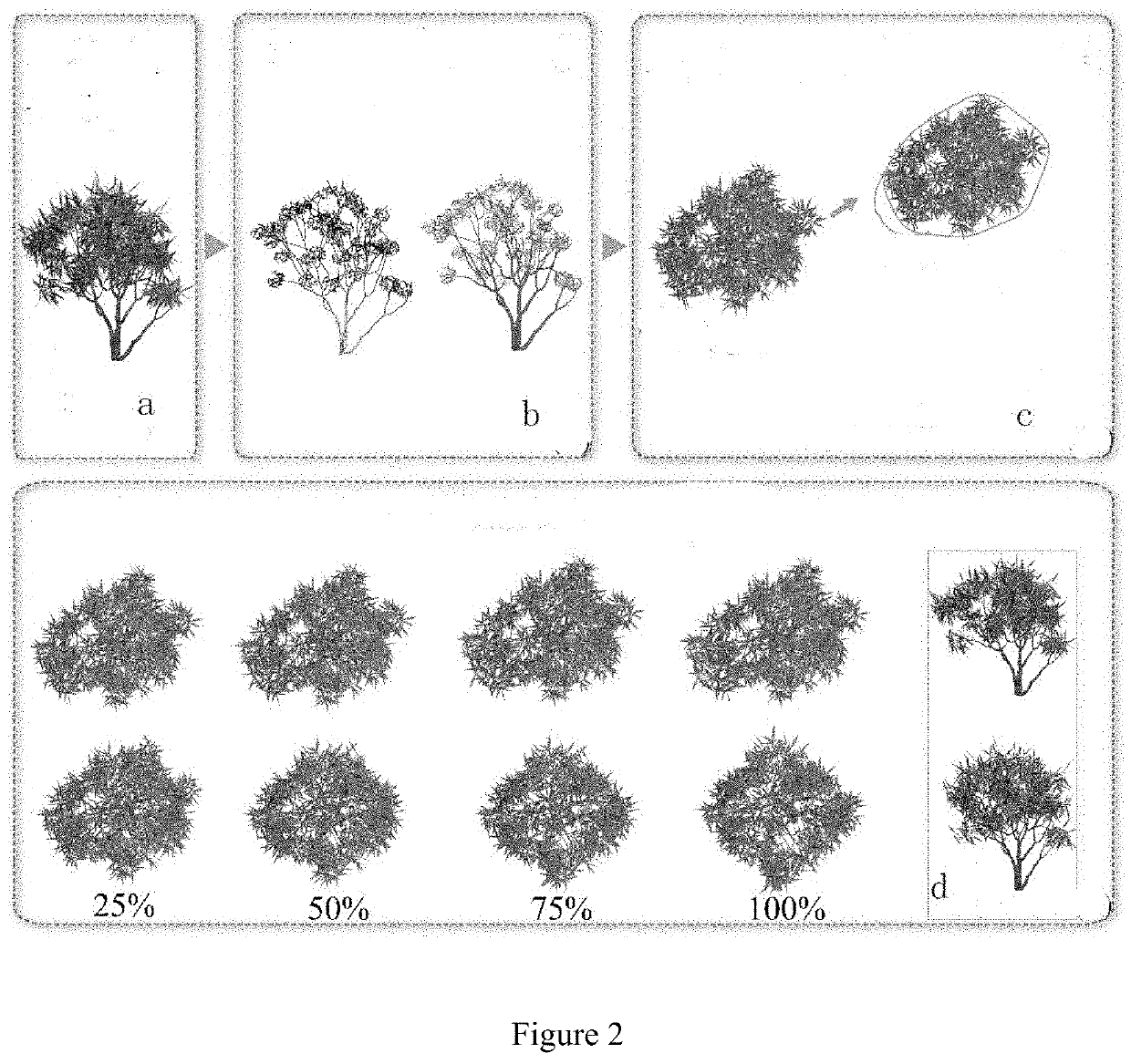 A sketch-based shape-preserving tree animation method