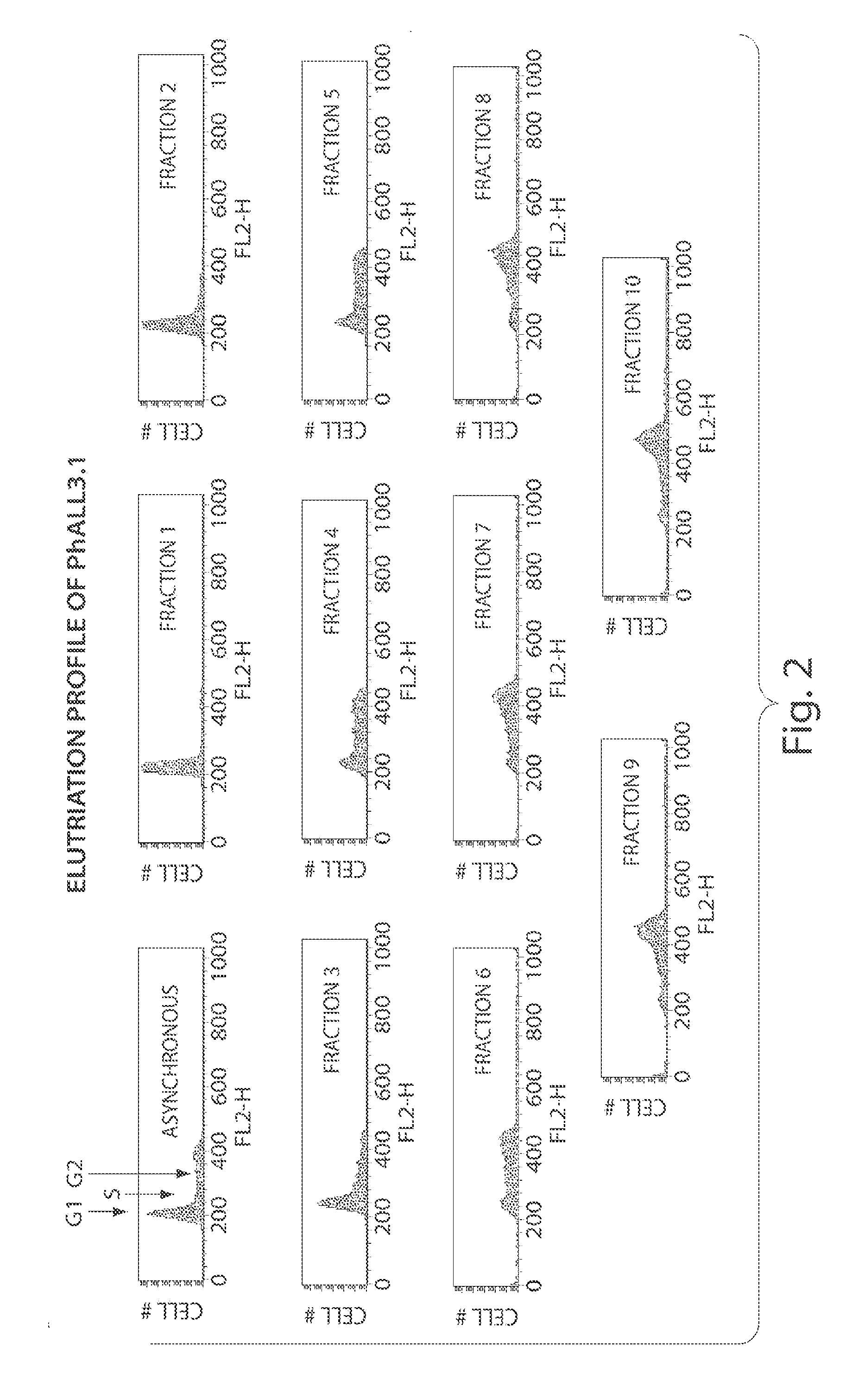CDC7 kinase inhibitors and uses thereof