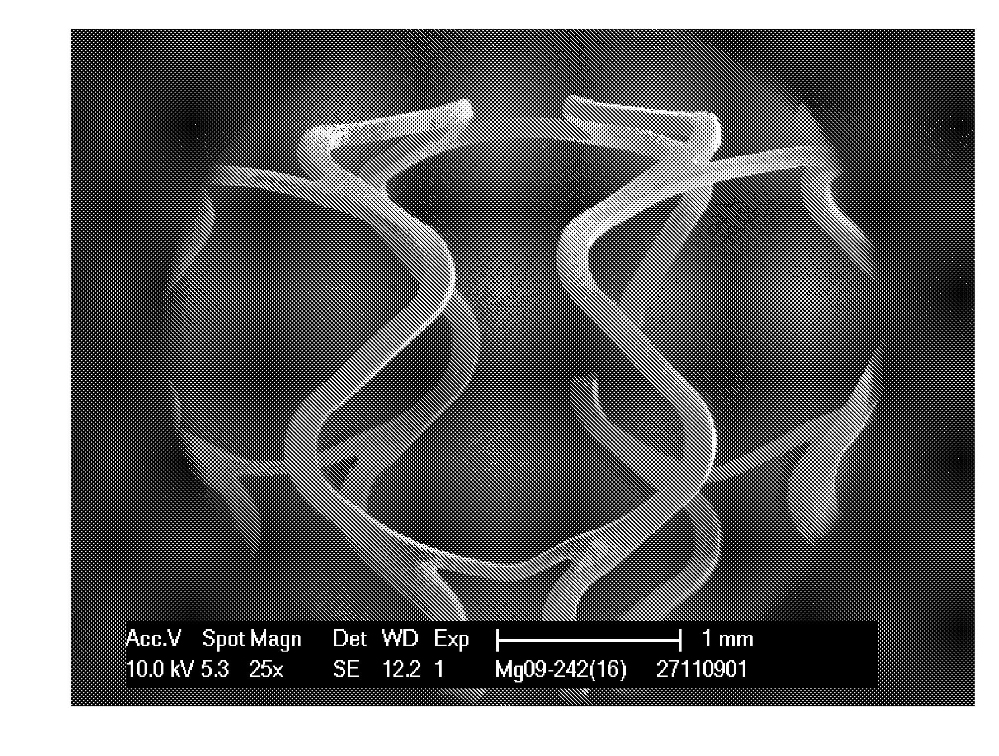 Microstructured Absorbable Implant