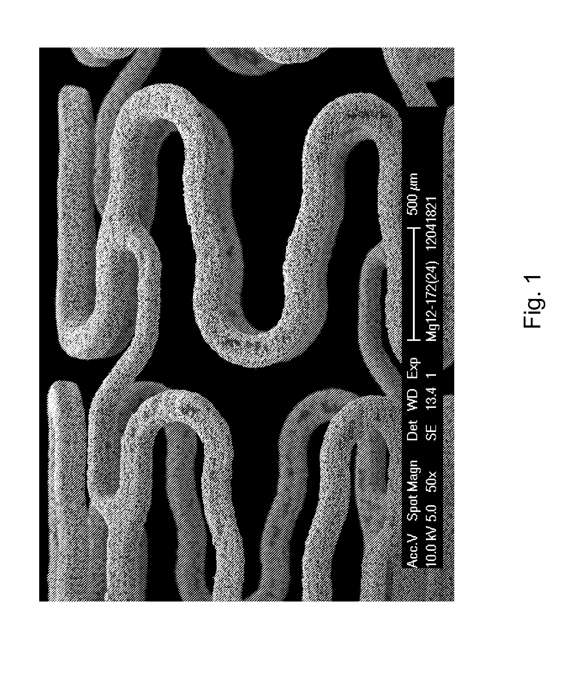 Microstructured Absorbable Implant