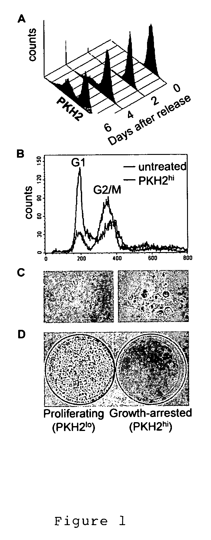 Reagents and methods for identifying and modulating expression of tumor senescence genes