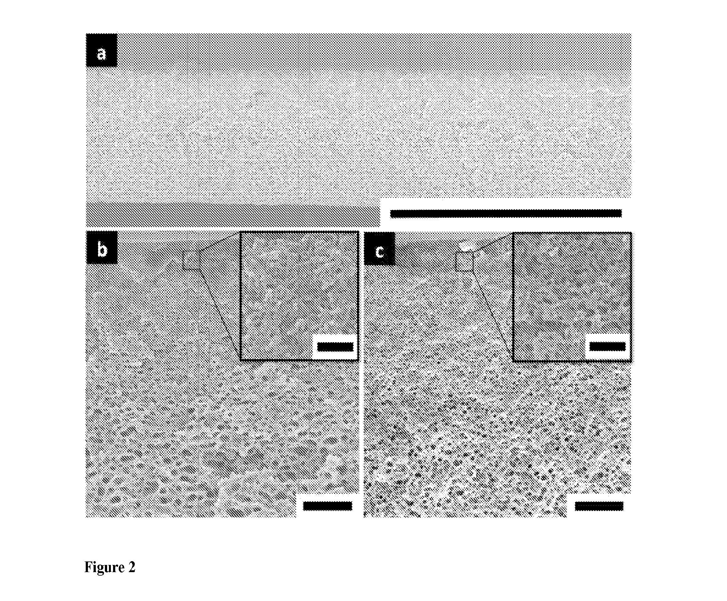 Multiblock copolymer films, methods of making same, and uses thereof