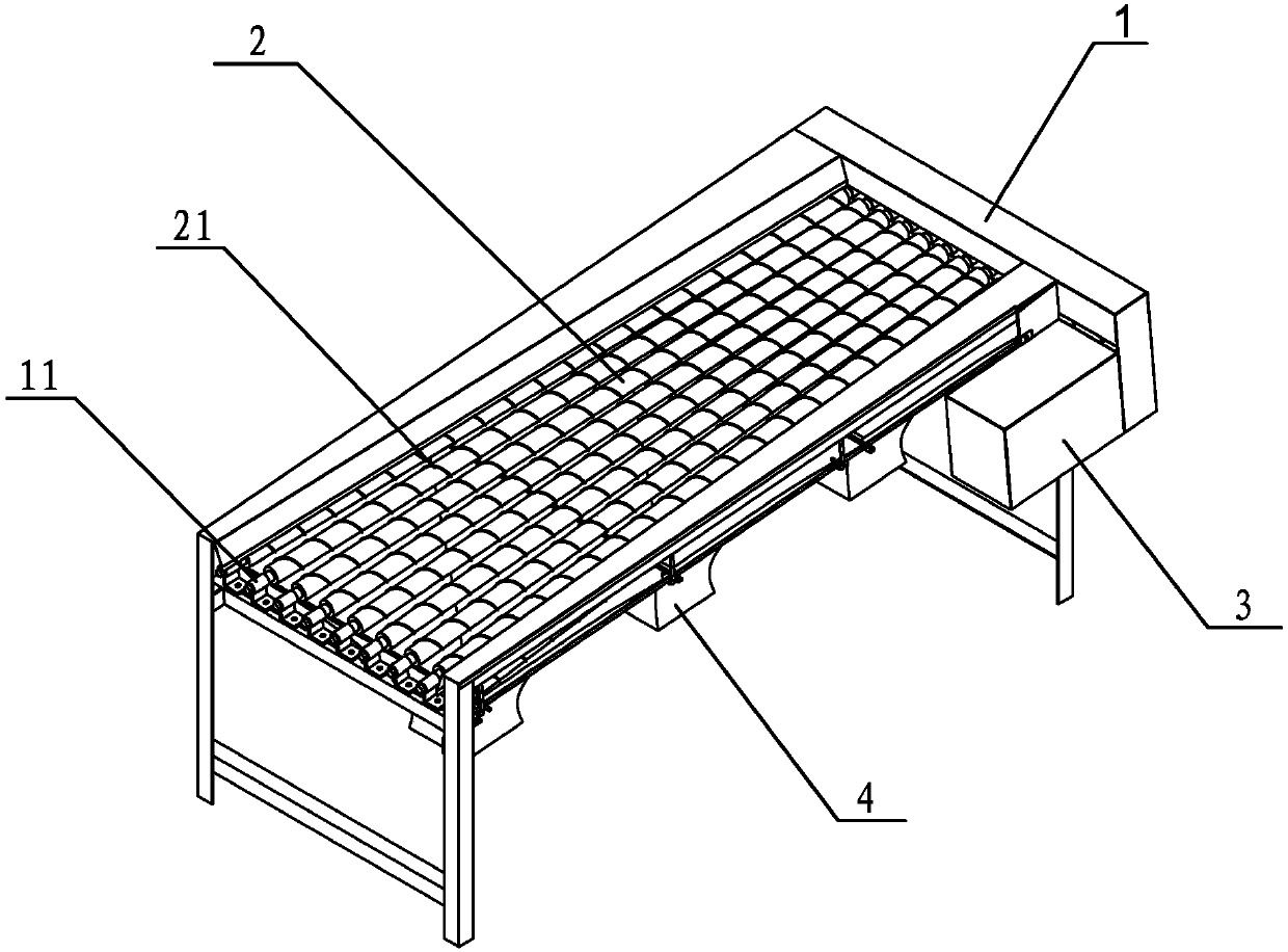 Fish sieving machine