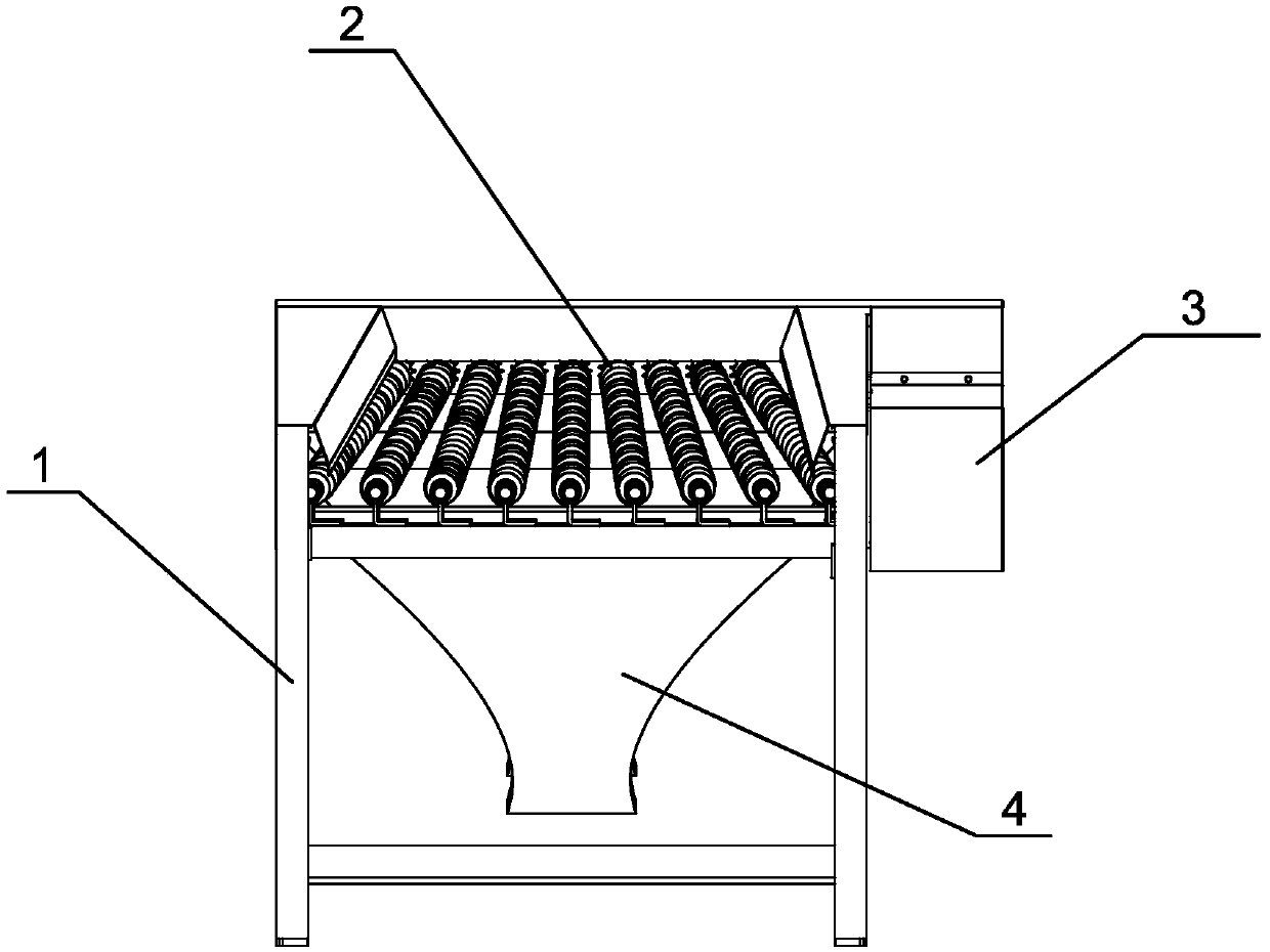 Fish sieving machine