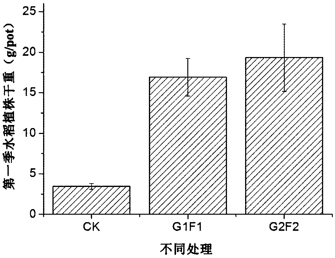 Method for inhibiting rice from absorbing arsenic and cadmium by using gypsum composite