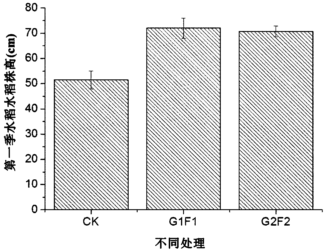 Method for inhibiting rice from absorbing arsenic and cadmium by using gypsum composite
