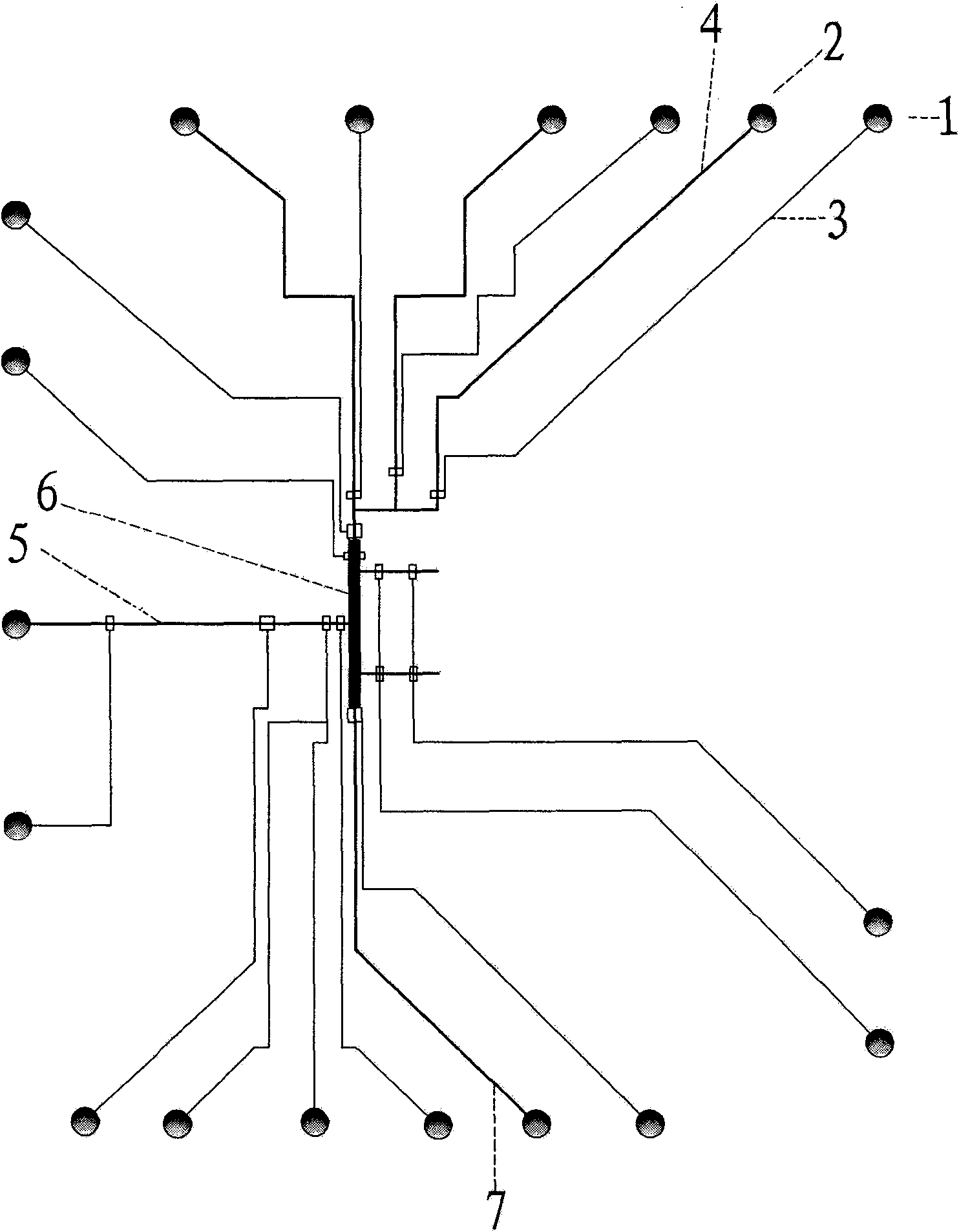 Microfludic chip for rapid detection of microcystins and preparation method thereof