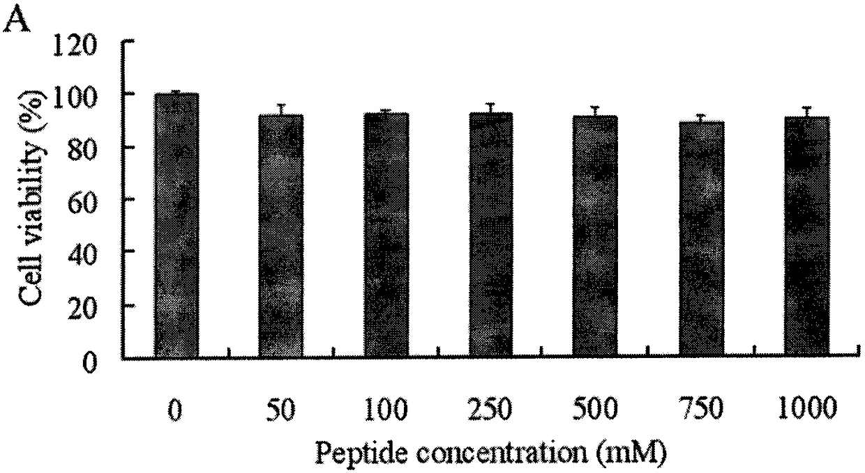 Novel cell-penetrating peptide mediating drug delivery and application of cell-penetrating peptide