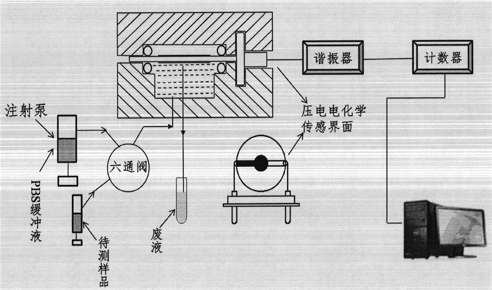 A rapid detection method and detection equipment for pathogenic microorganisms