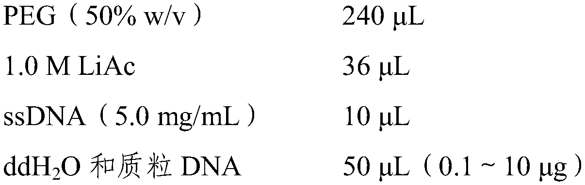 Potassium transport protein KUP3 from tobacco and coded gene and application thereof