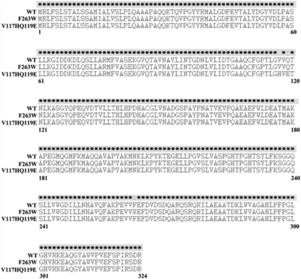 Enzymatic performance improved methyl parathion hydrolase mutant and application thereof