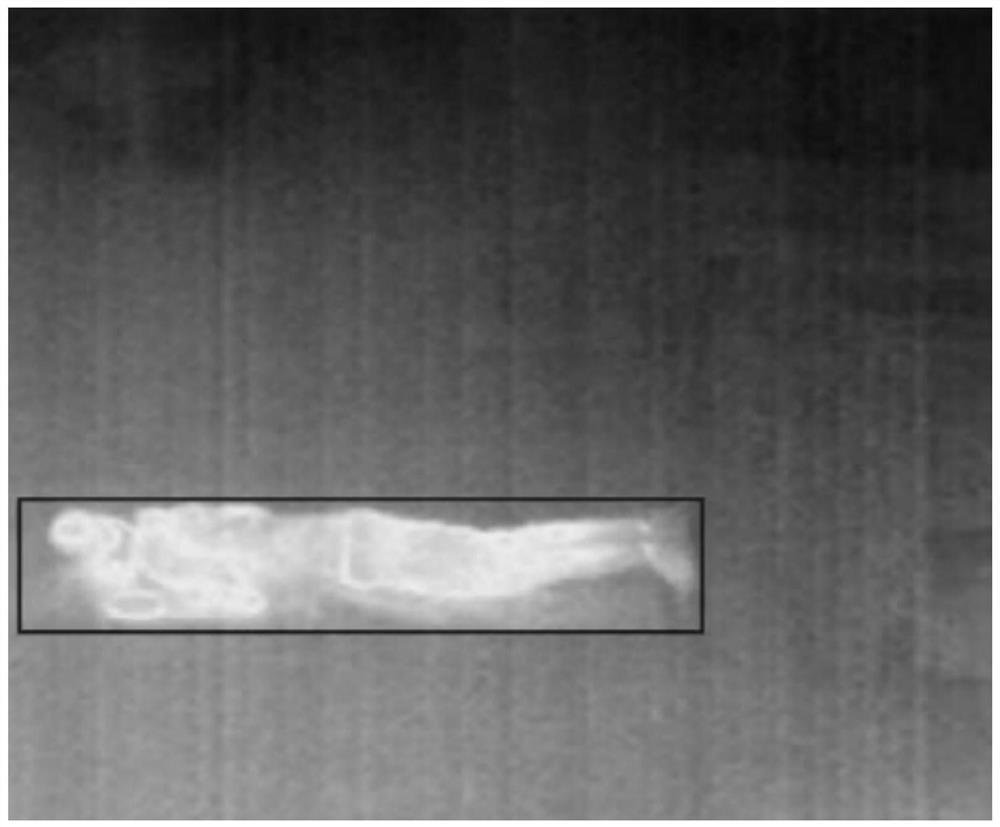 Nursing home-based personnel falling detection method and device, and medium