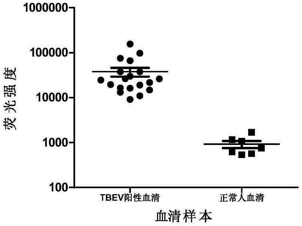 System for detecting tick-borne encephalitis virus infection