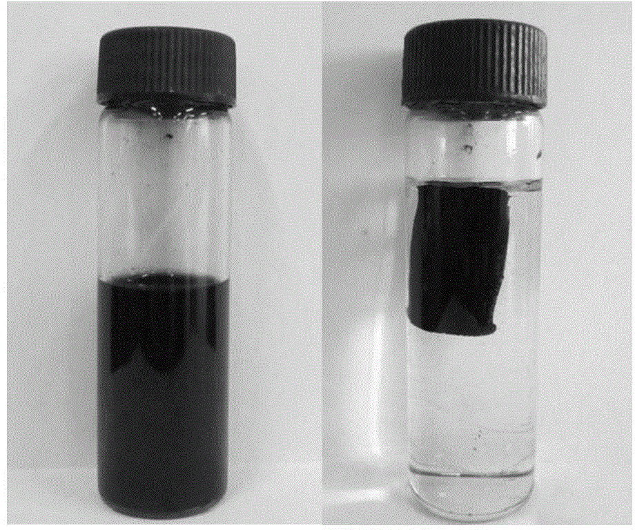 Carbon nanotube/graphene composite gel and preparation method thereof