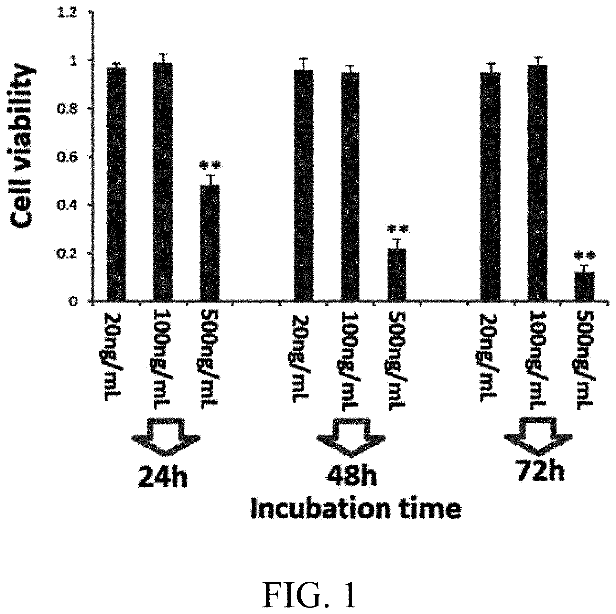 Protein-modified plga microsphere and tissue-engineered nerve constructed therewith