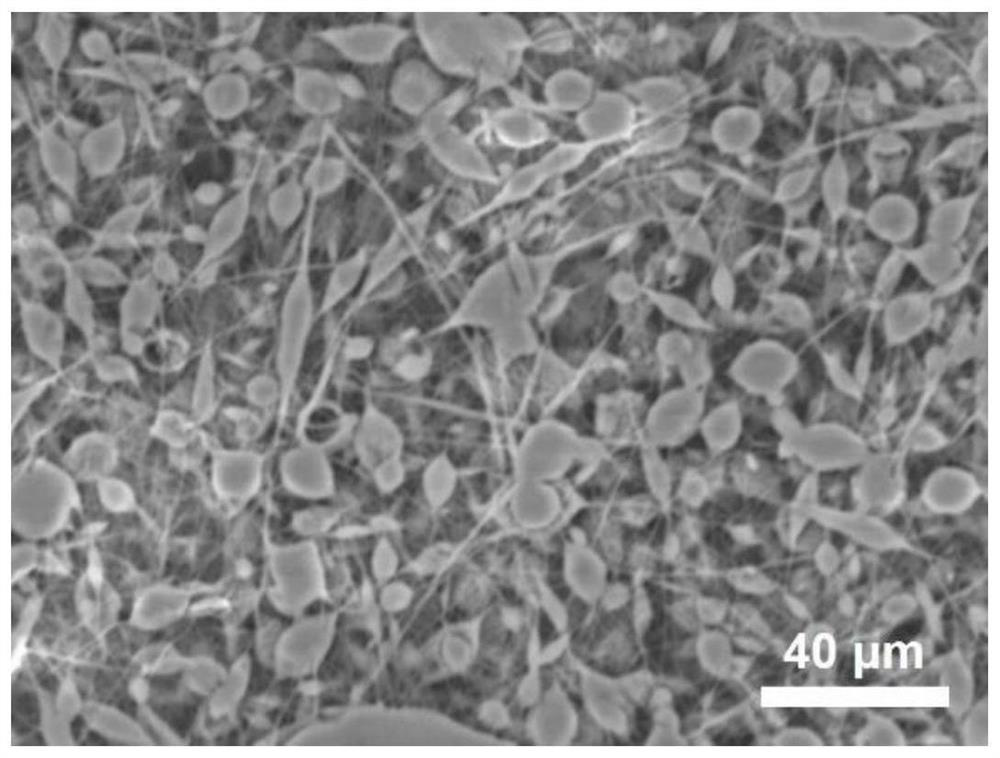 A core-shell self-healing fiber beaded electrospinning material based on pH response and its synthesis method and application