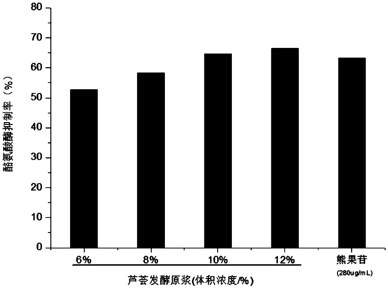 Aloe primary pulp fermented with lactobacillus pentosus, and preparation method, preservation method and application thereof
