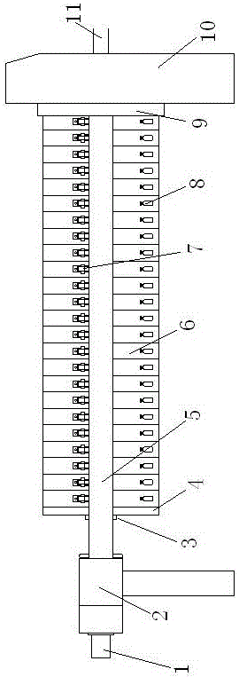 Chitin preparation method