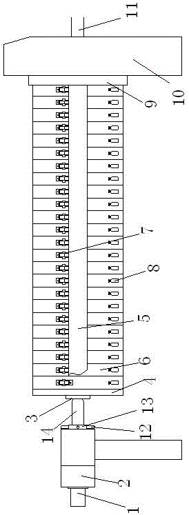 Chitin preparation method