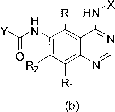 Quinazoline derivatives and preparation method and application thereof