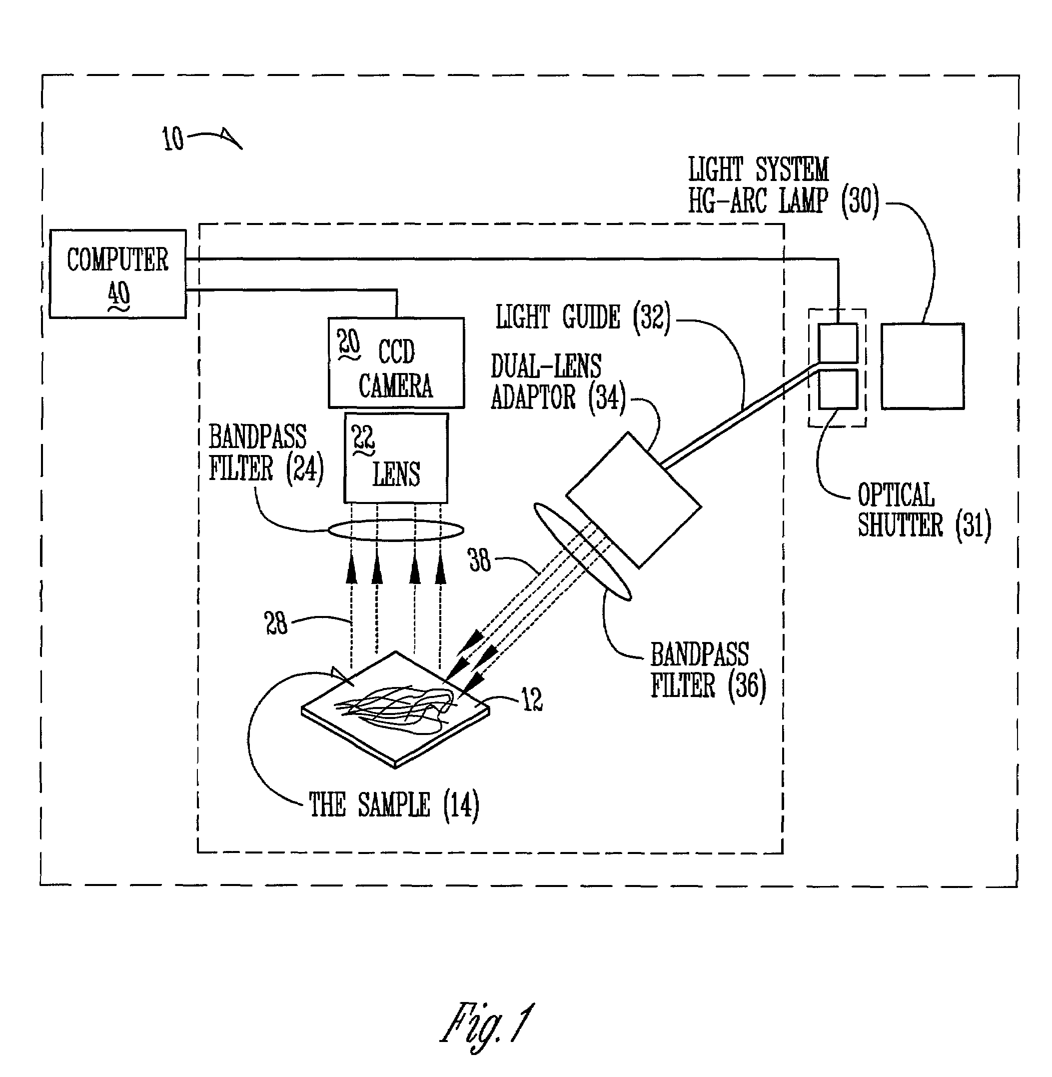 Automated plant analysis method, apparatus, and system using imaging technologies