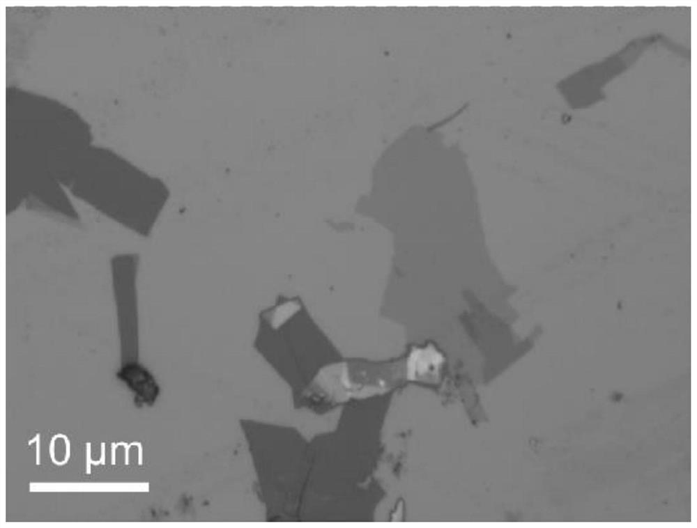 Metal ditelluride nanosheet and preparation method thereof
