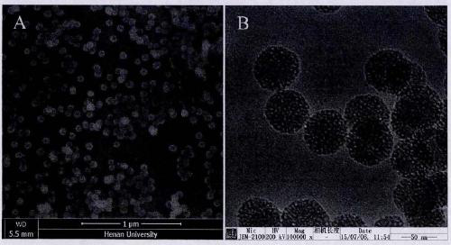 A kind of drug-loaded silicon dioxide nanoparticles and its preparation method and application